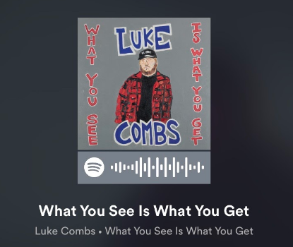Luke Combs album What You See is What You Get on Spotify