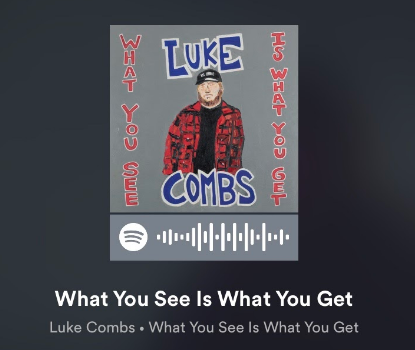 Luke Combs' album "What You See is What You Get" on Spotify