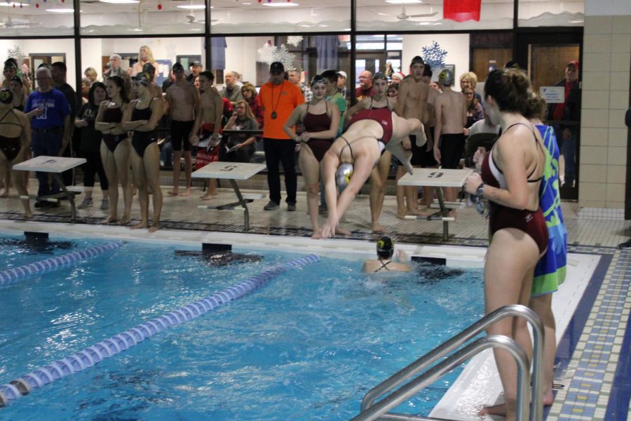 Ross+Swimmer+dives+into+pool+during+meet+at+the+YMCA