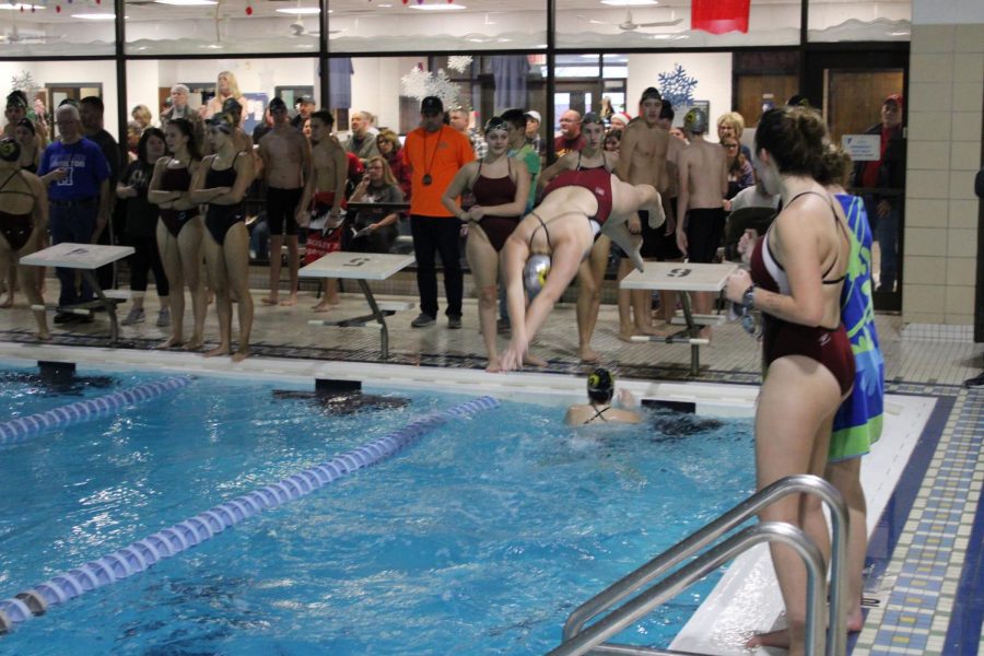 RHS competes for State Swim & Dive