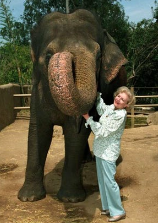 Betty White posing with one of the elephants from the Los Angeles Zoo.